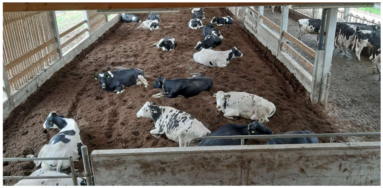Sustainability | Free Full-Text | Consumers' and Farmers' Perceptions in  Europe Regarding the Use of Composted Bedding Material from Cattle