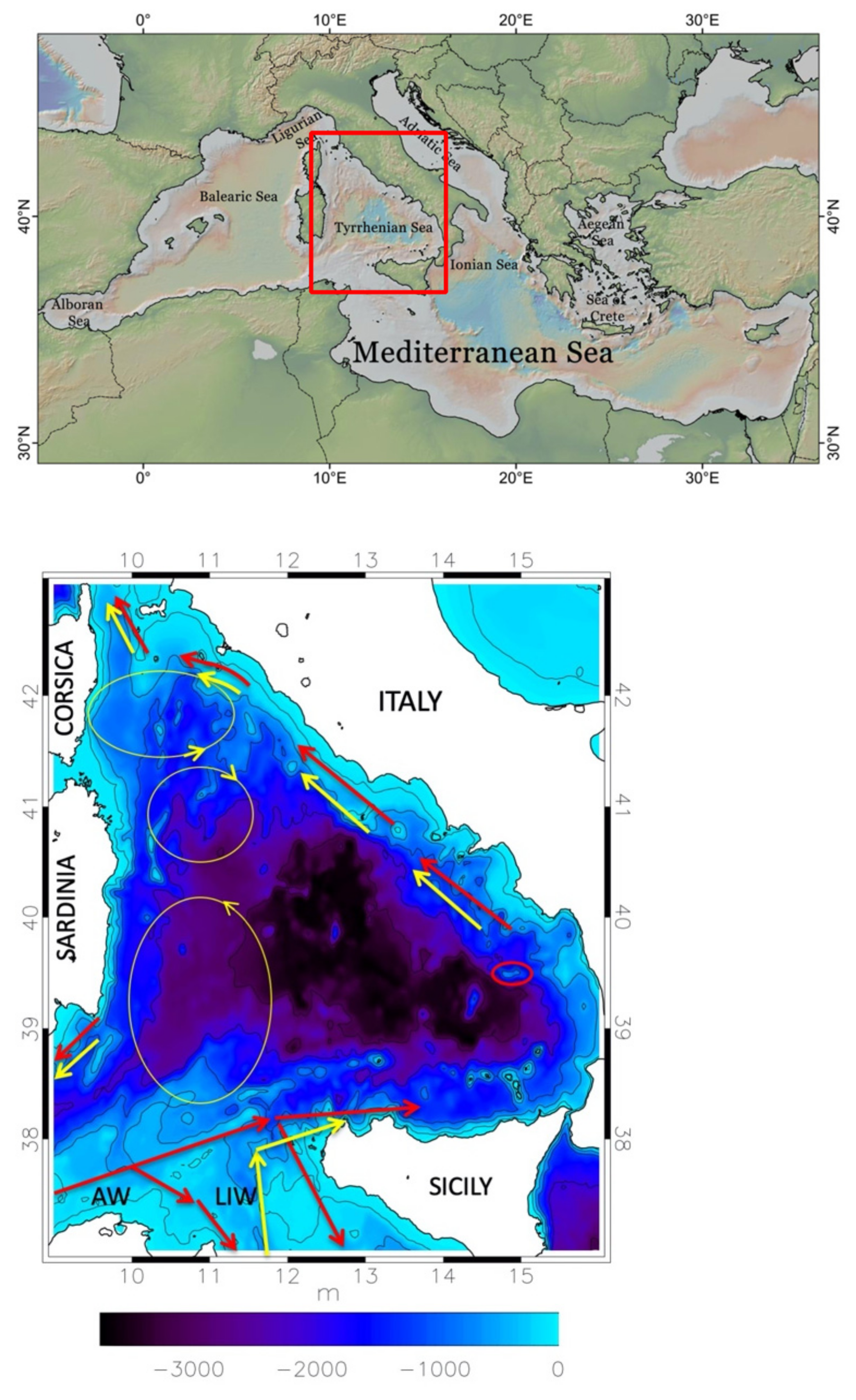 Contrasting surface warming of a marginal basin due to large-scale climatic  patterns and local forcing