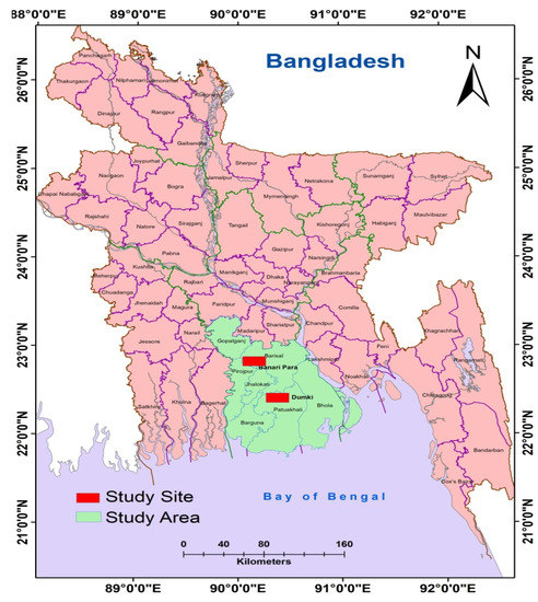 Sustainability | Free Full-Text | Potentialities of the Asian ...