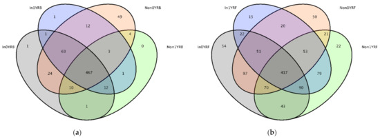 Sustainability | Free Full-Text | Effects of Rhizophagus 