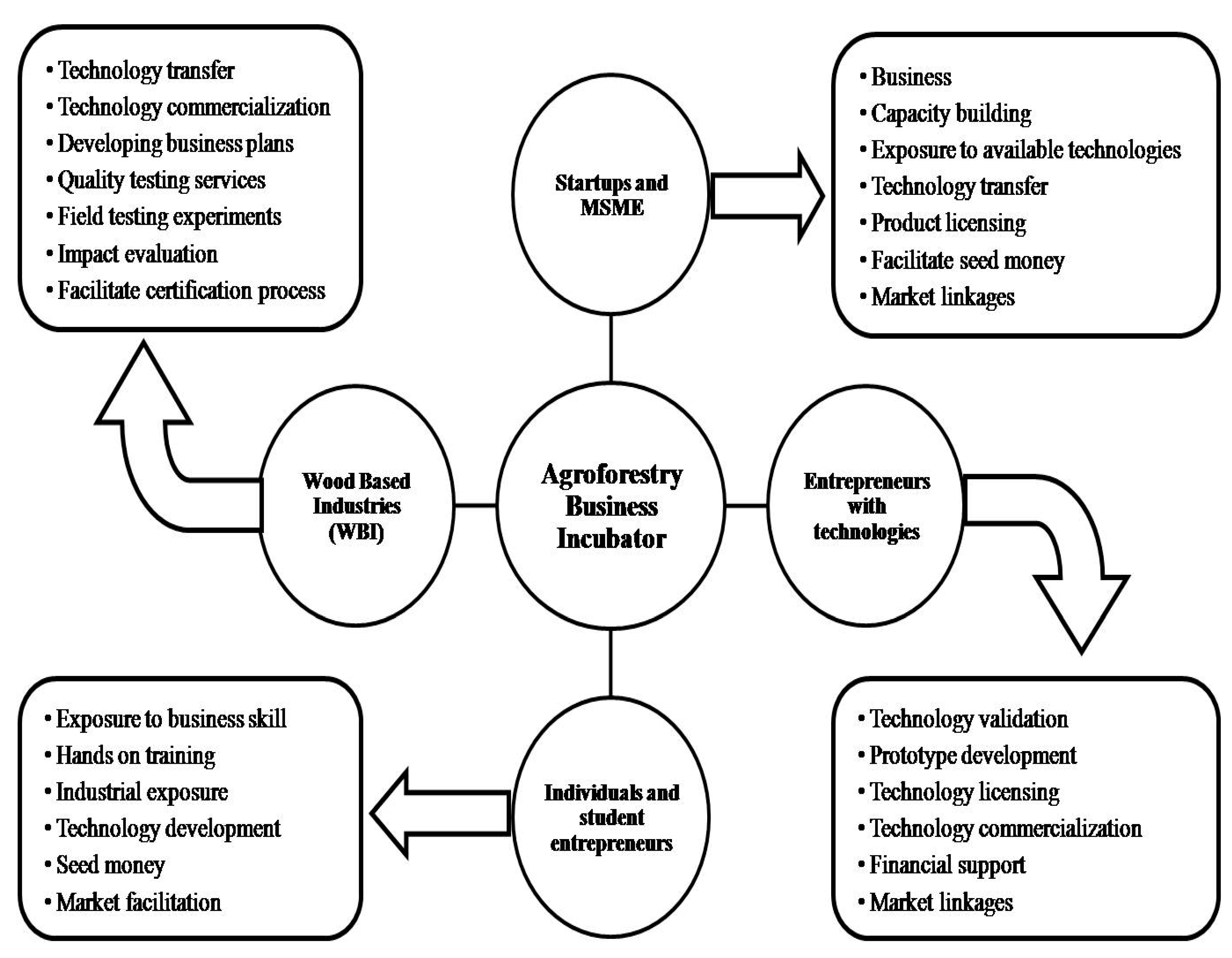 Sustainability | Free Full-Text | Industrial Agroforestry—A Sustainable ...