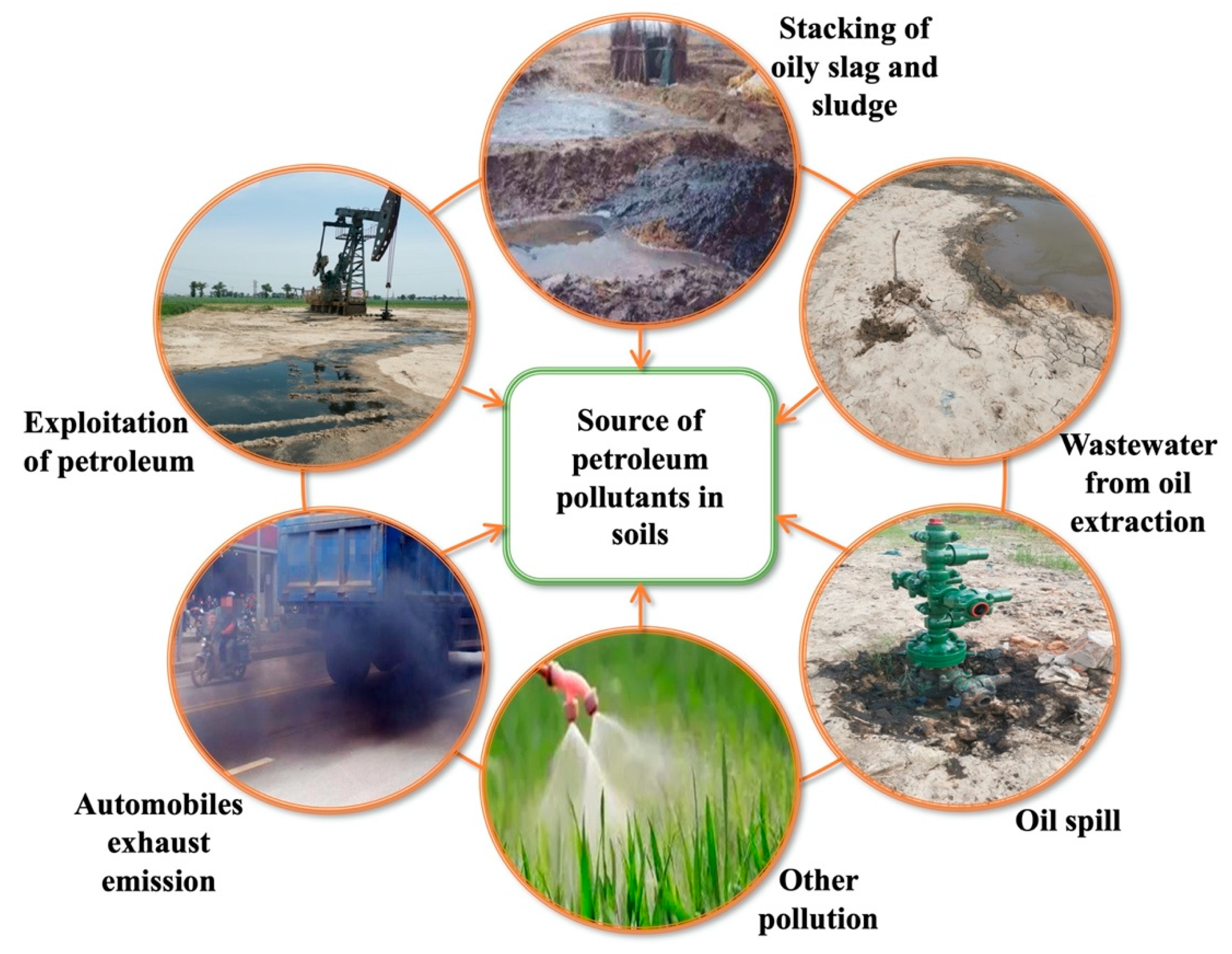 La vermiculite : usages, dangers, comment l'utiliser ?