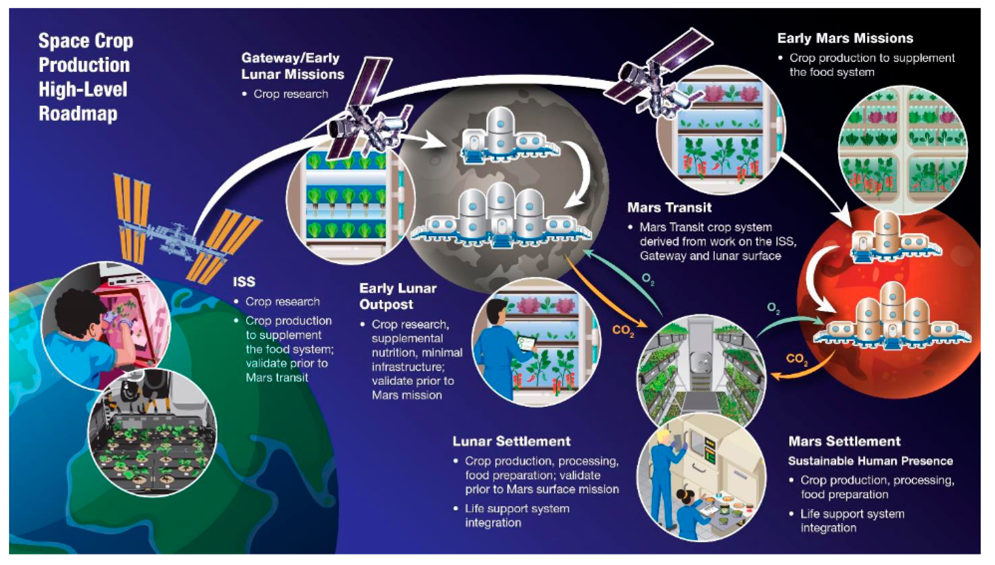 Microbial applications for sustainable space exploration beyond