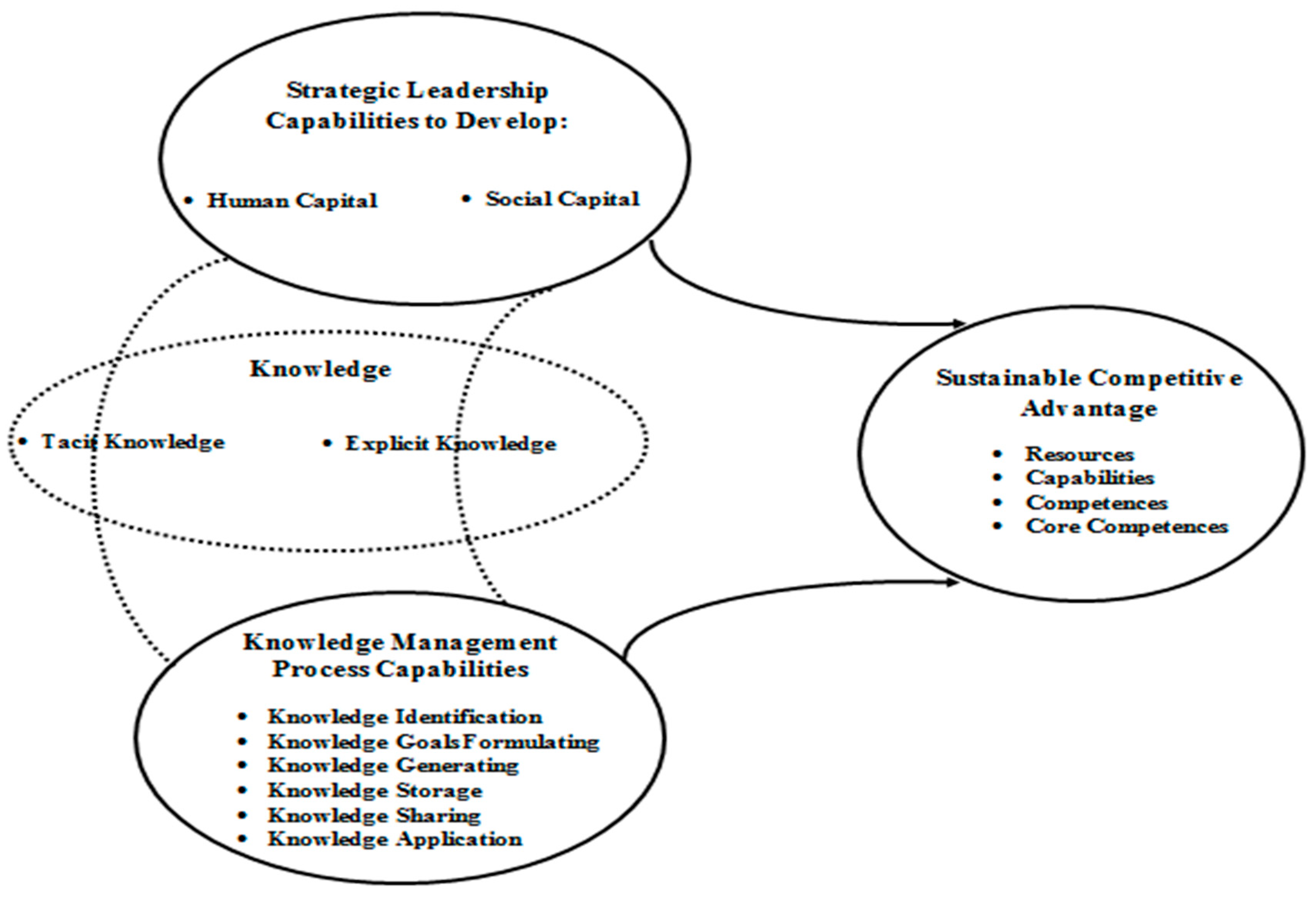 literature review on sustainable competitive advantage