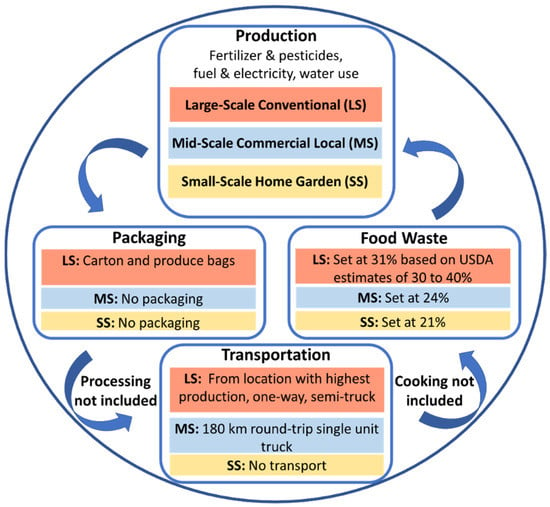 Sustainability | Free Full-Text | A Life Cycle Assessment Approach