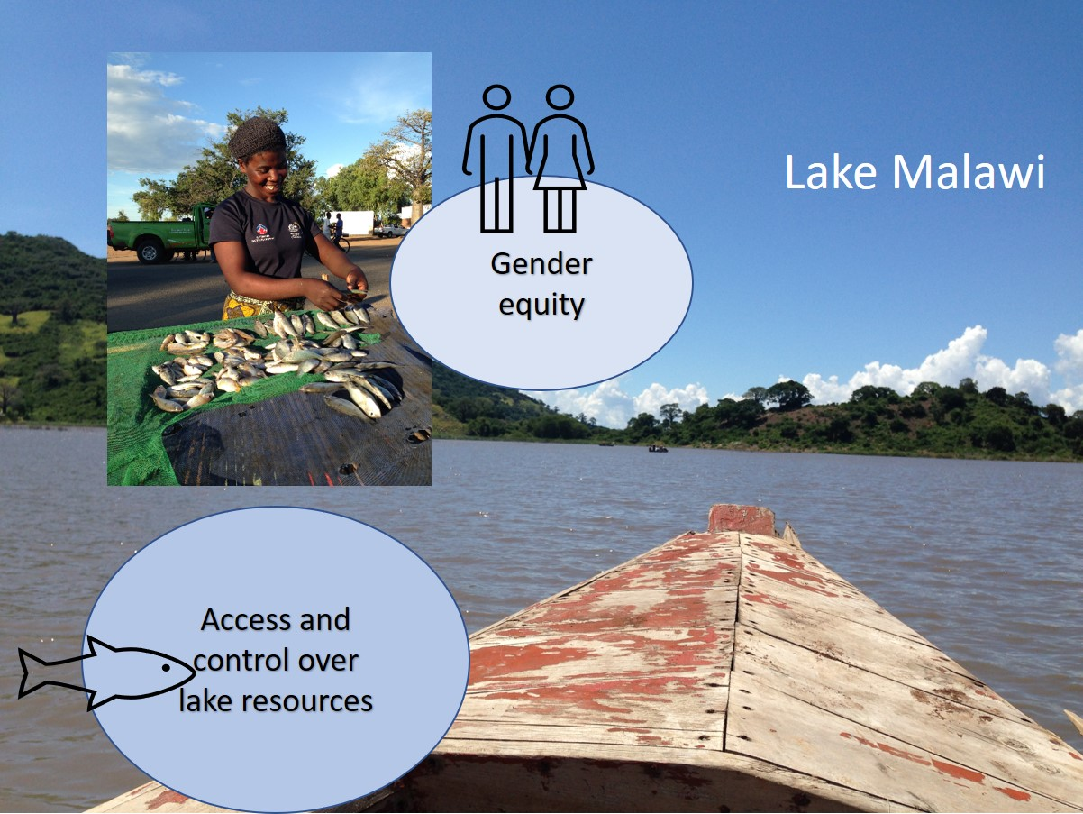 Sustainability Free Full-Text Assessing and Advancing Gender Equity in Lake Malawiandrsquo;s Small-Scale Fisheries Sector