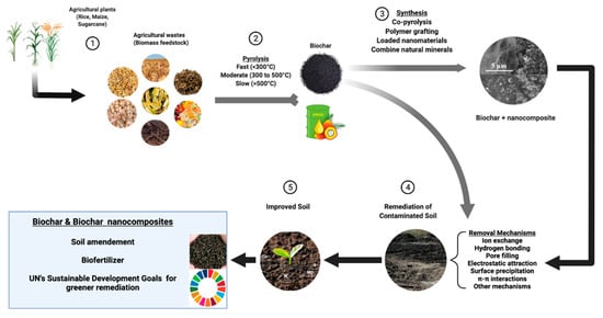 Elaborer des solutions de paillages biodégradables en cultures maraîchères  - SOPAM - CTIFL