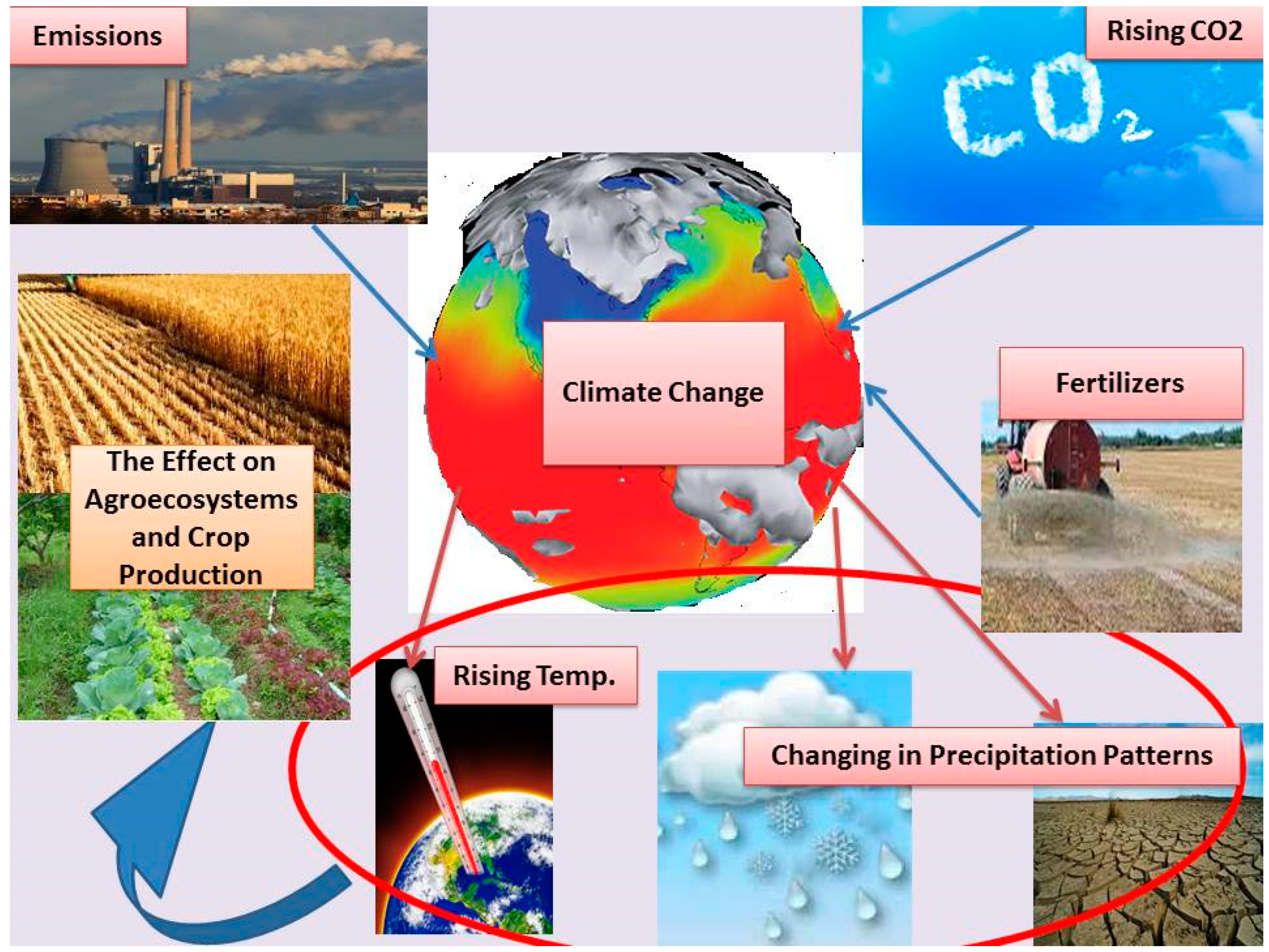 Sustainability | Free Full-Text | Plant Nutrition under Climate Change and  Soil Carbon Sequestration