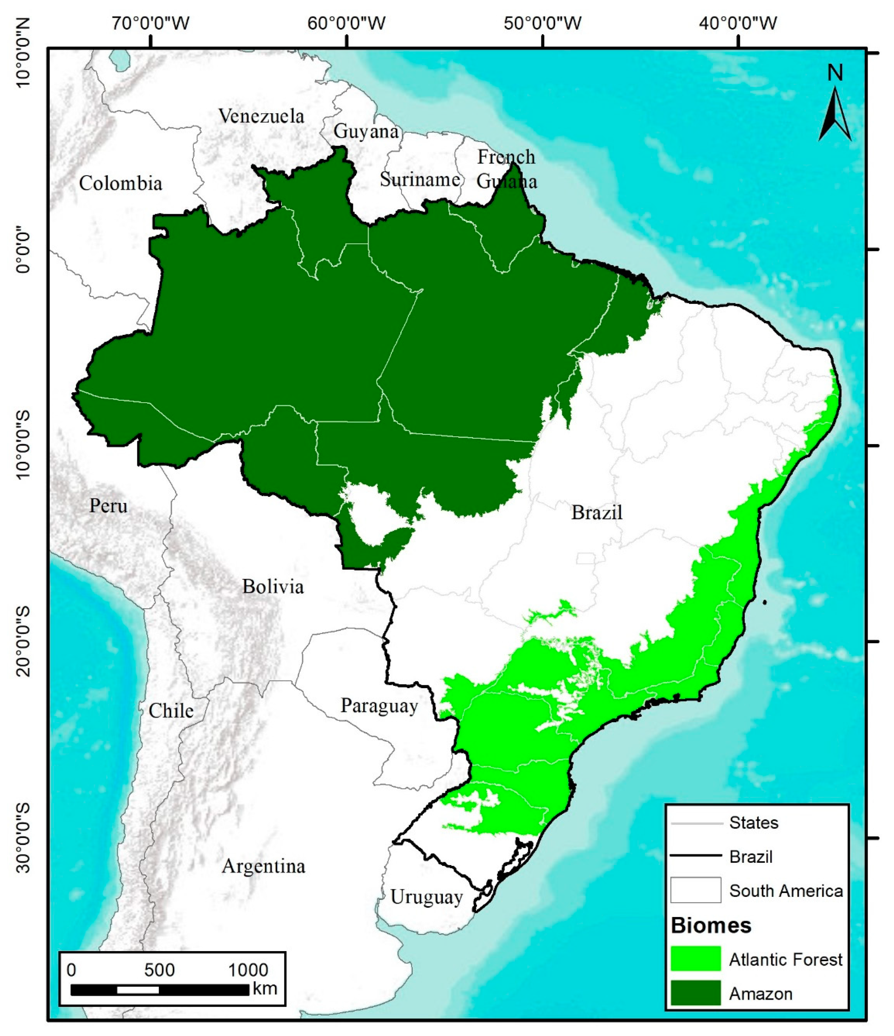 Brazil's Atlantic Forest six years on 