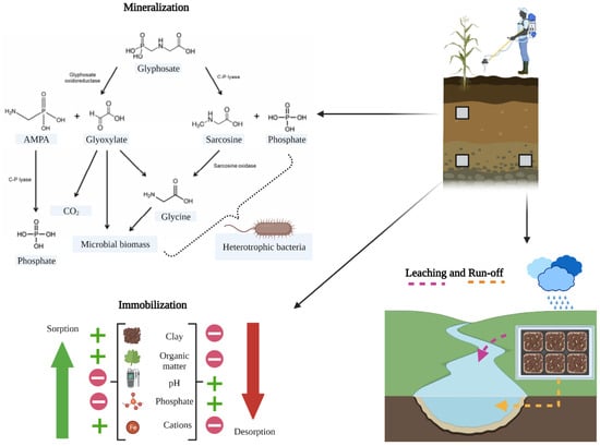 Sustainability | Free Full-Text | Overview Of Environmental And Health ...