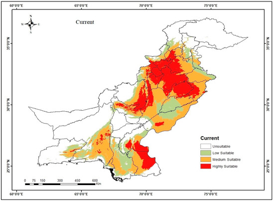 Sustainability | Free Full-Text | Predicting the Suitable Current and ...