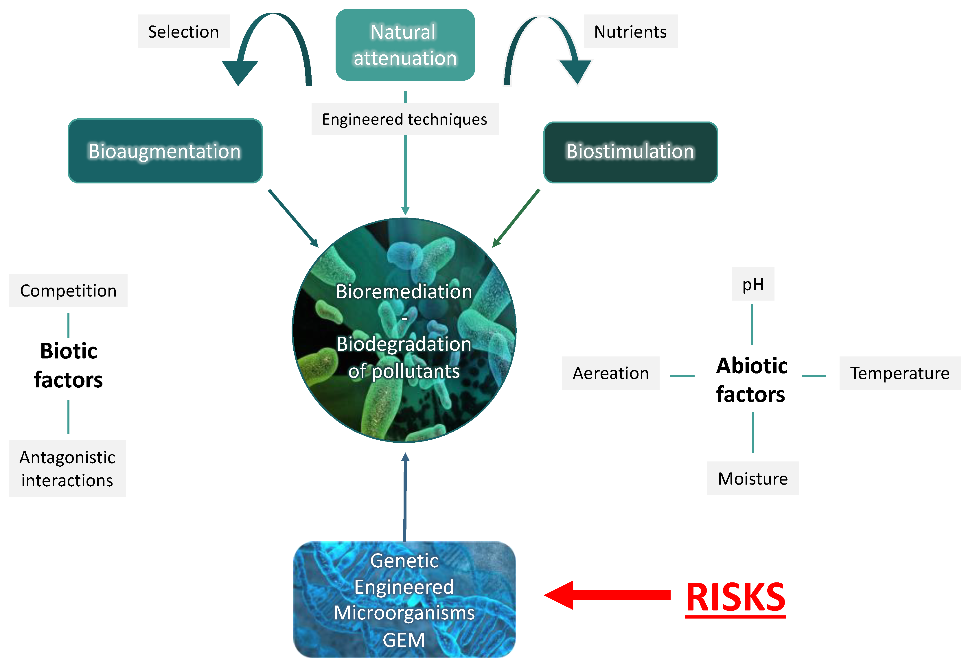 Bioremediation: The pollution solution? Microbiology Society