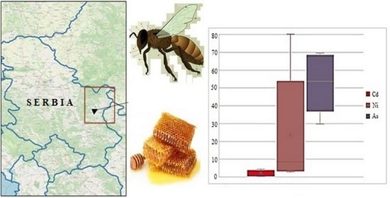 Exploitation of bees by humans - Animal Ethics