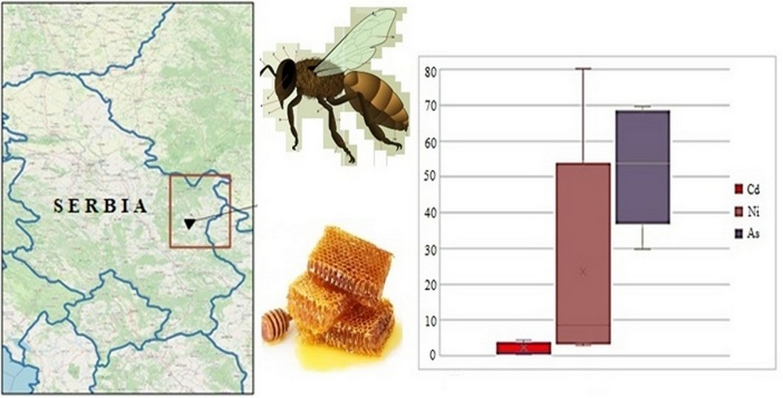 About Bee Seasonal, Ethical Honey Brands