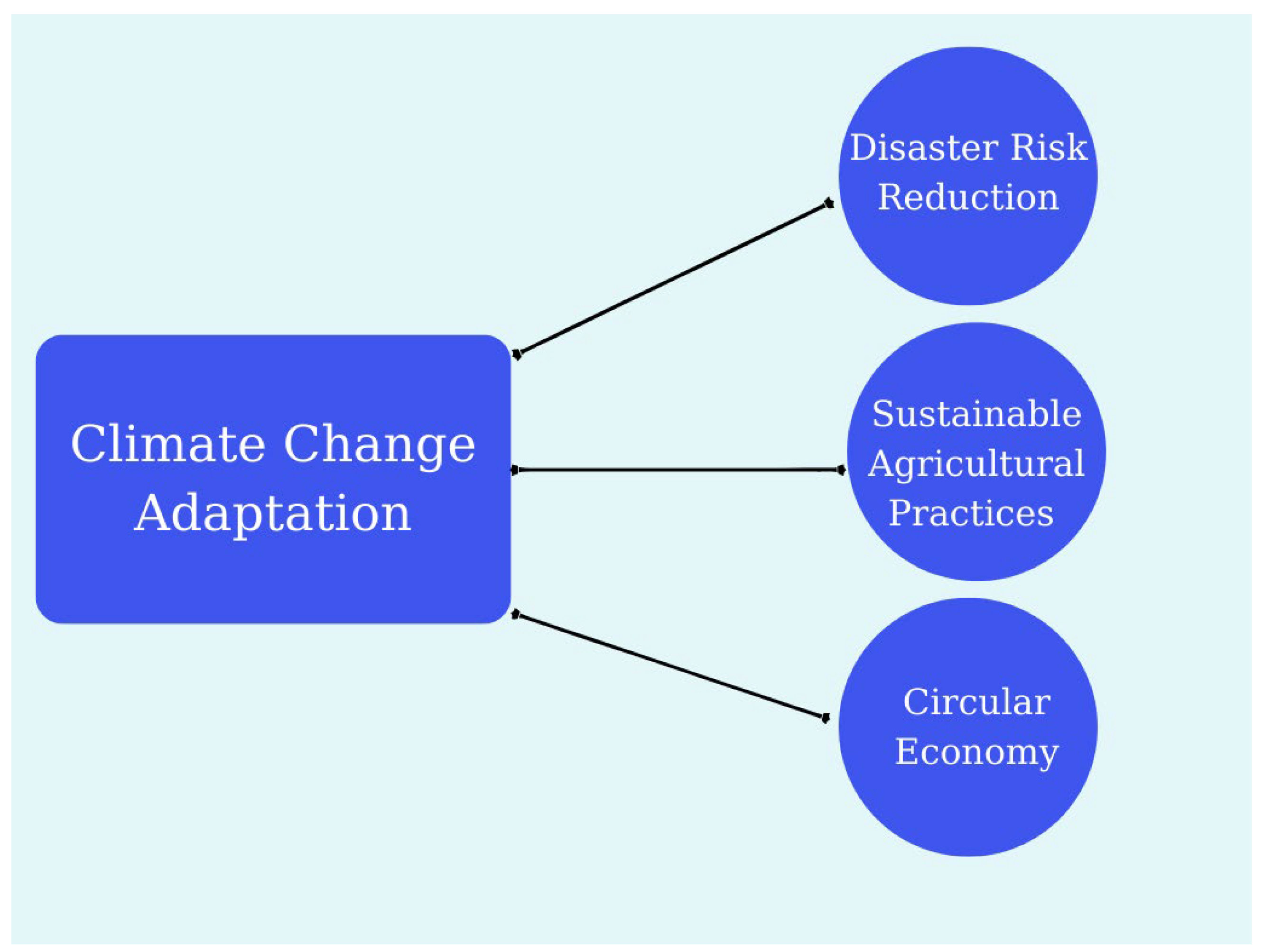 systematic literature review climate change adaptation