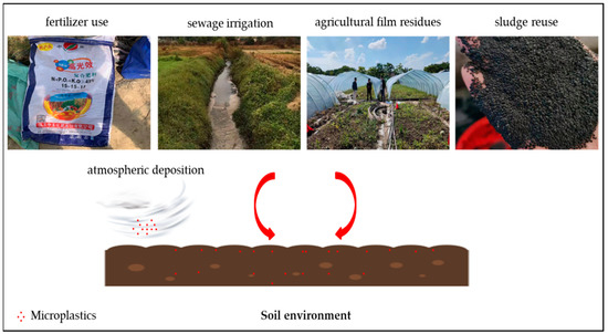 An Overlooked Entry Pathway of Microplastics into Agricultural