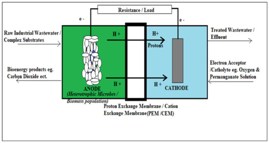 Microbial Fuel Cells for Electrical Energy: Outlook on Scaling-Up and ...