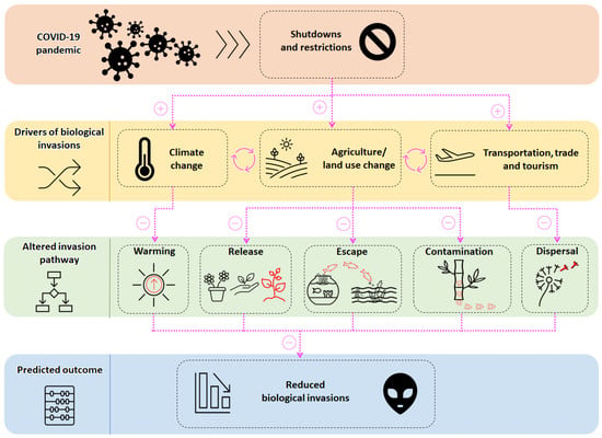 Sustainability | Free Full-Text | The COVID-19 Restrictions And ...