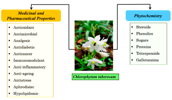 PDF) CURRENT RED LIST PLANTS AND THE RARE AND THREATENED OF