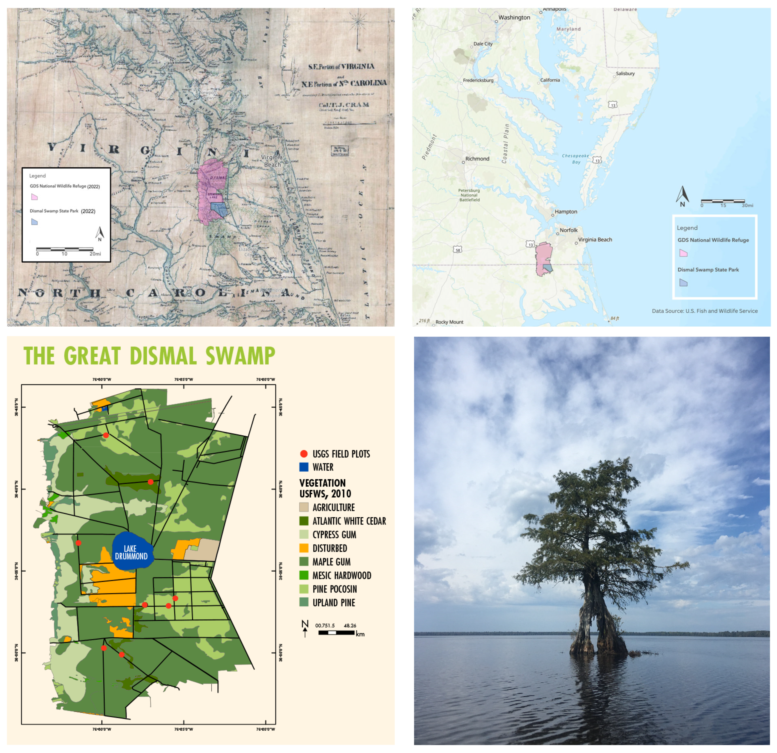 EDITORIAL: Rethink proposed Cherry Creek mega-project, Editorials