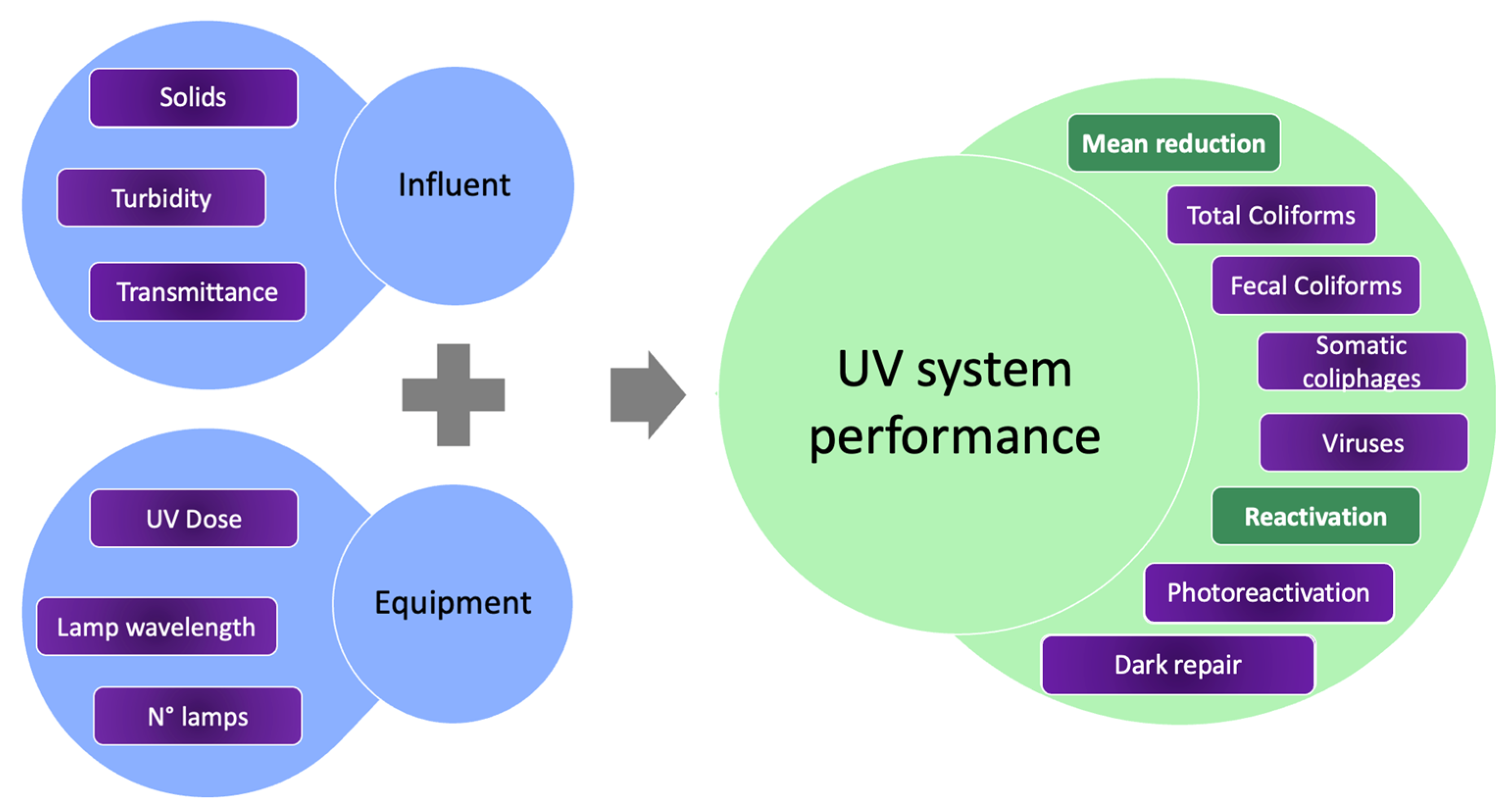UV Lamp For Spectrum 57 LPM UV Disinfection System