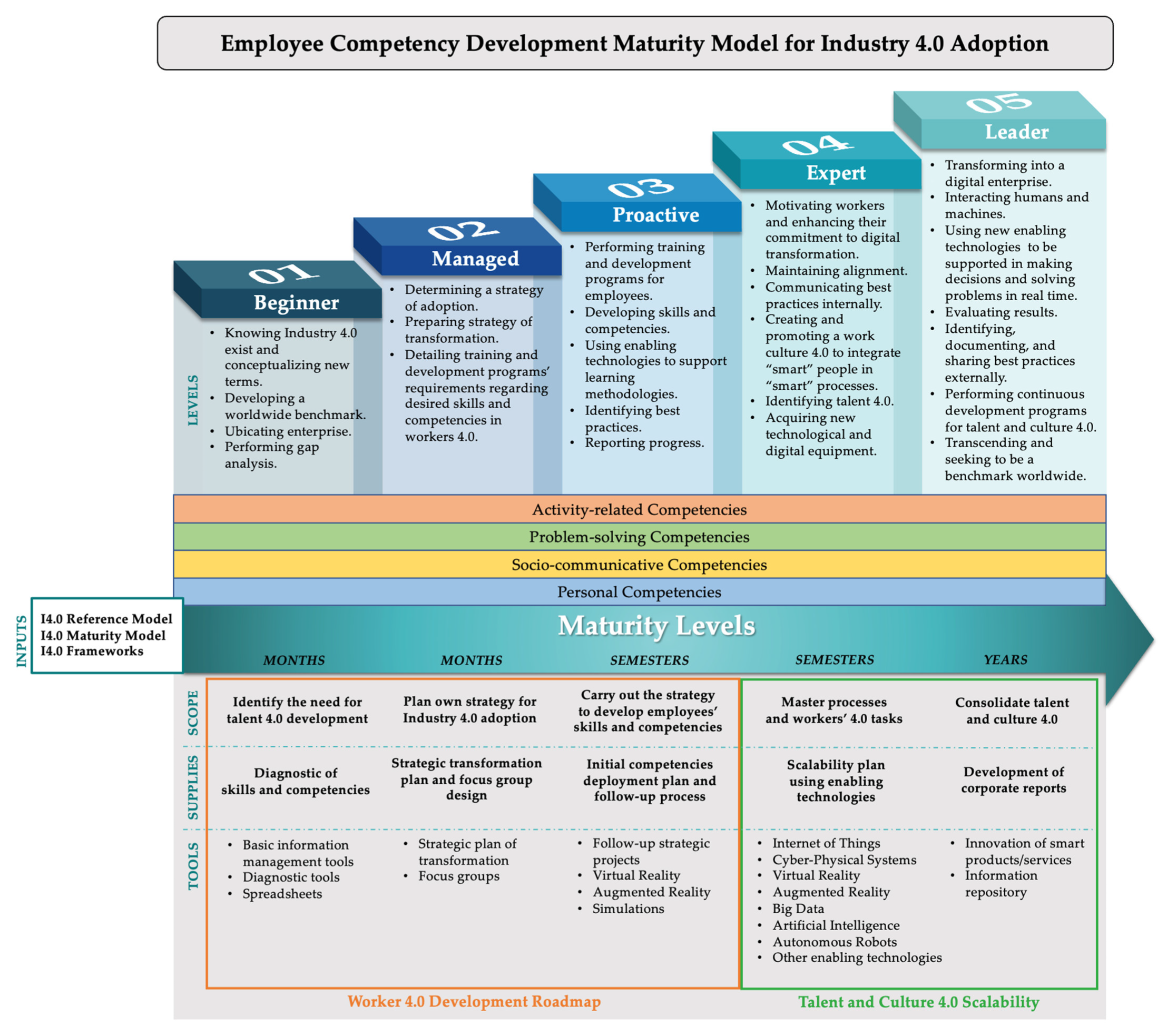 employee development model