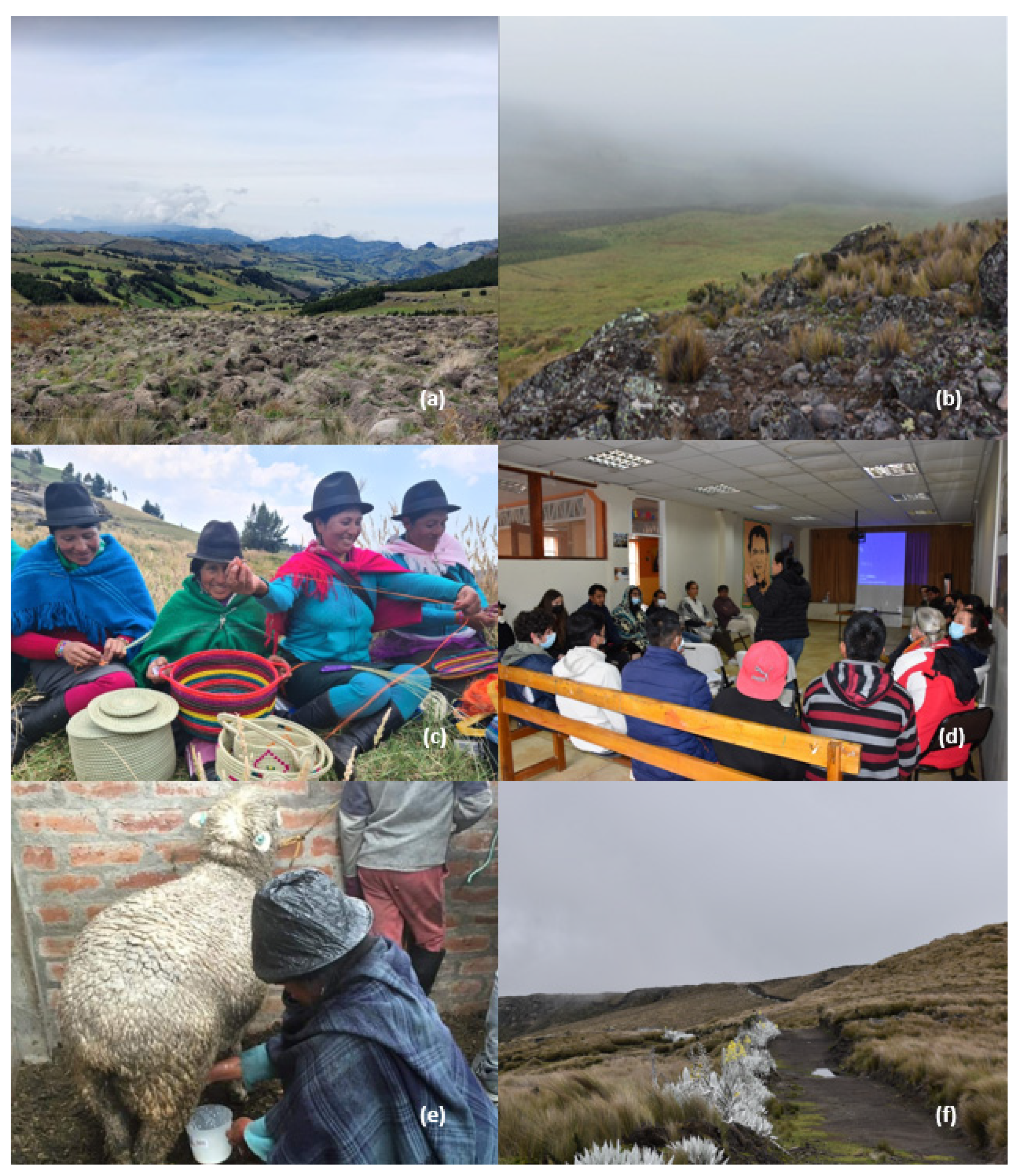 escuela comunitaria mountain vista