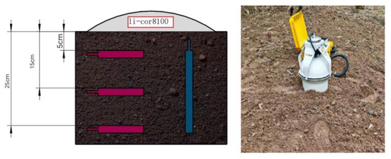 Effect of Soil Volumetric Water Content on the CO2 Diffusion Coefficient