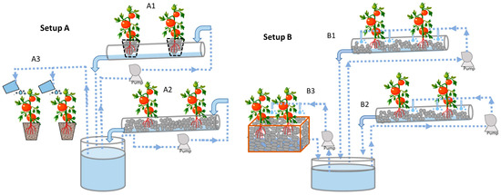 Pretreated Agro Industrial Effluents as a Source of Nutrients for  