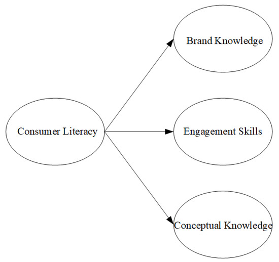 Consumer Literacy in Virtual Brand Communities: Dimension Exploration and Scale Development