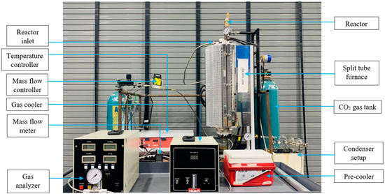 Sustainability | Free Full-Text | Carbon Dioxide Gasification of ...