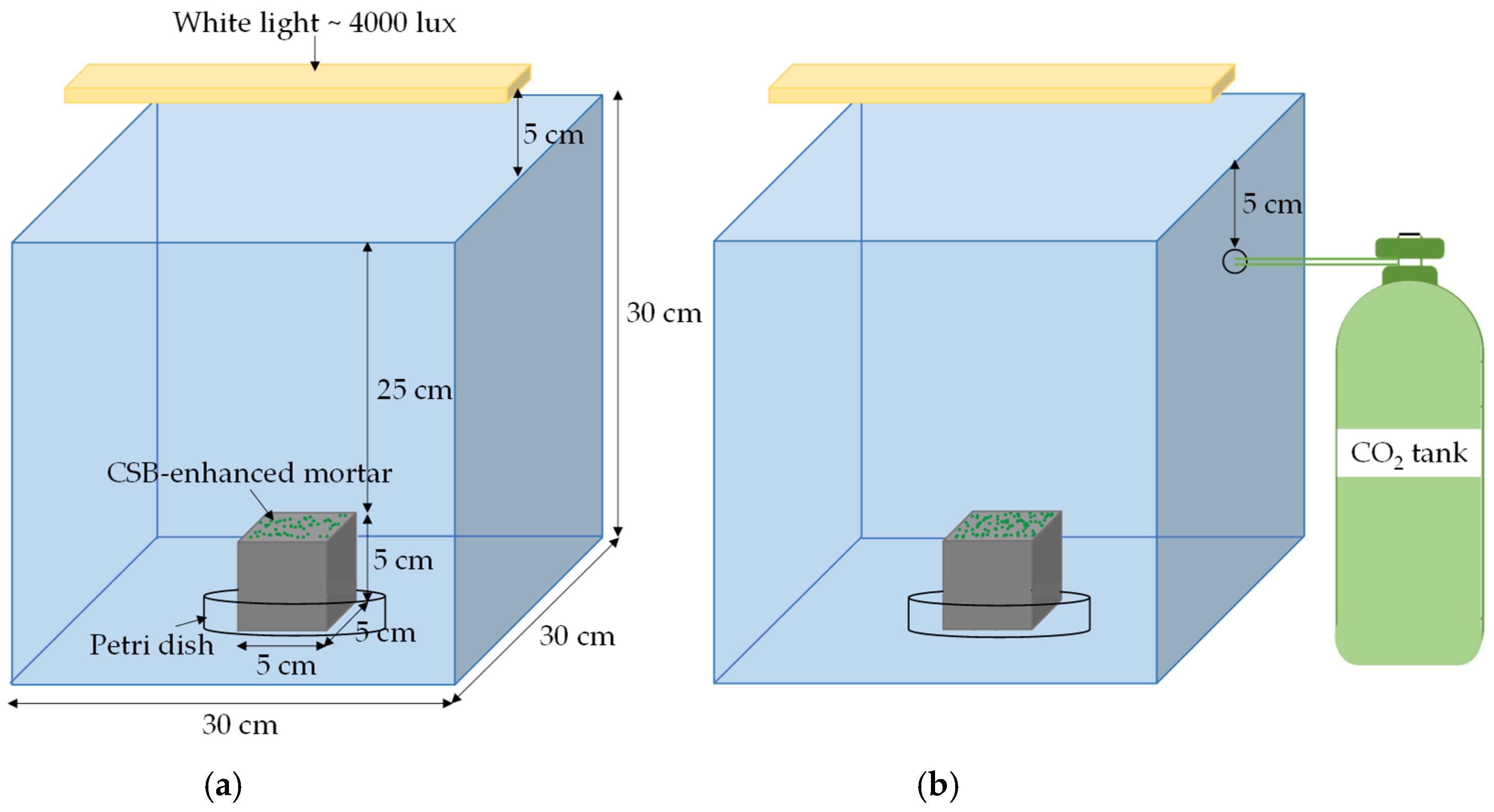 Enhancing CO2 Sequestration Through Corn Stalk Biochar-Enhanced Mortar ...