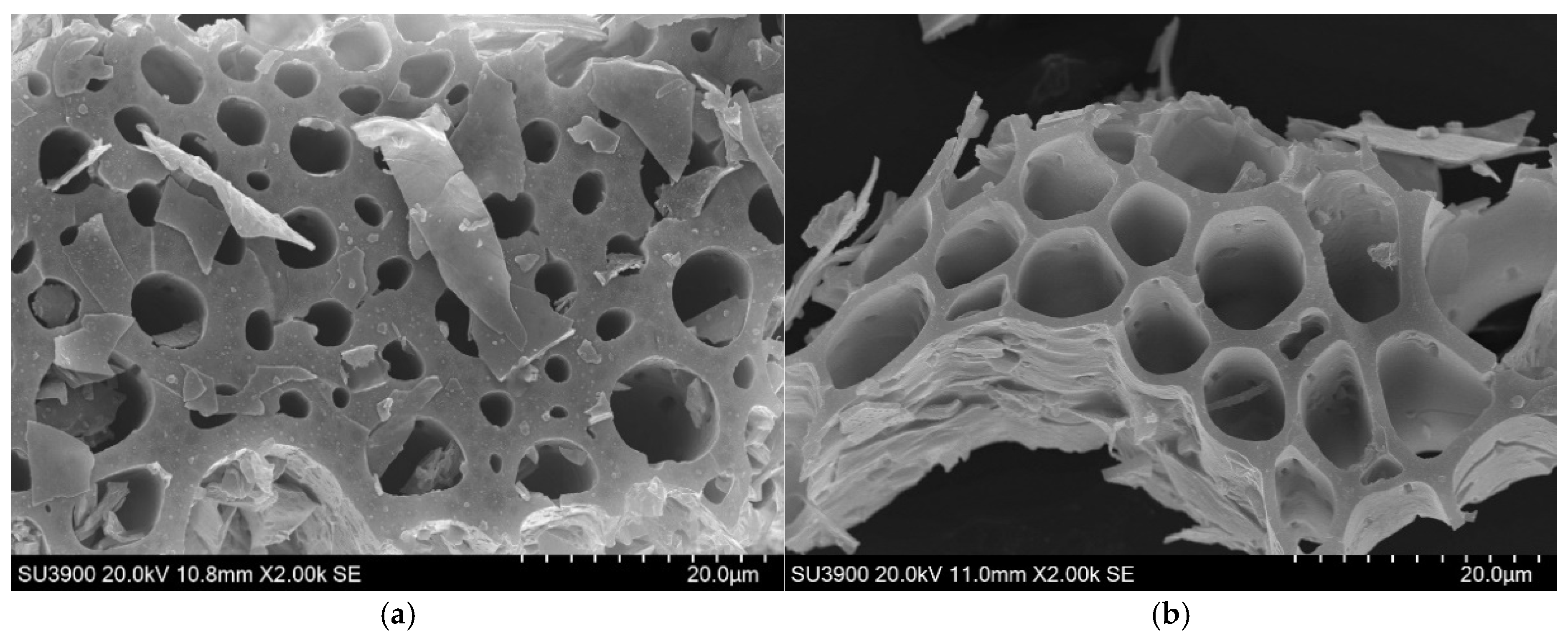 Enhancing CO2 Sequestration Through Corn Stalk Biochar-Enhanced Mortar ...