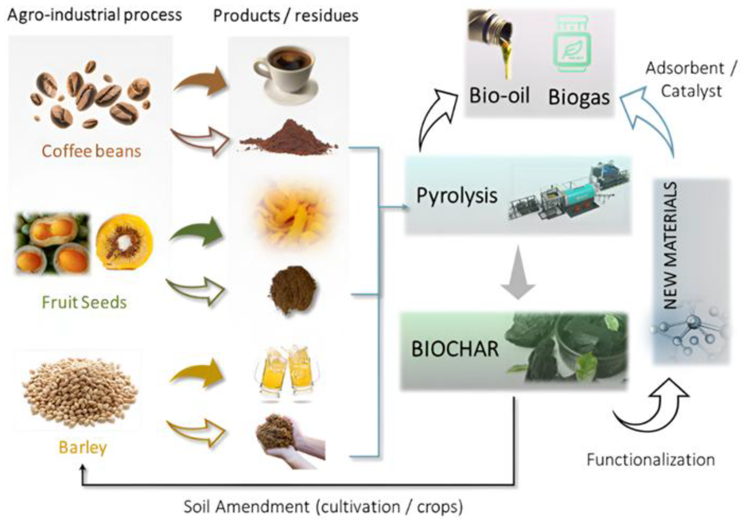 Advancing Biochar Applications: A Review of Production Processes ...