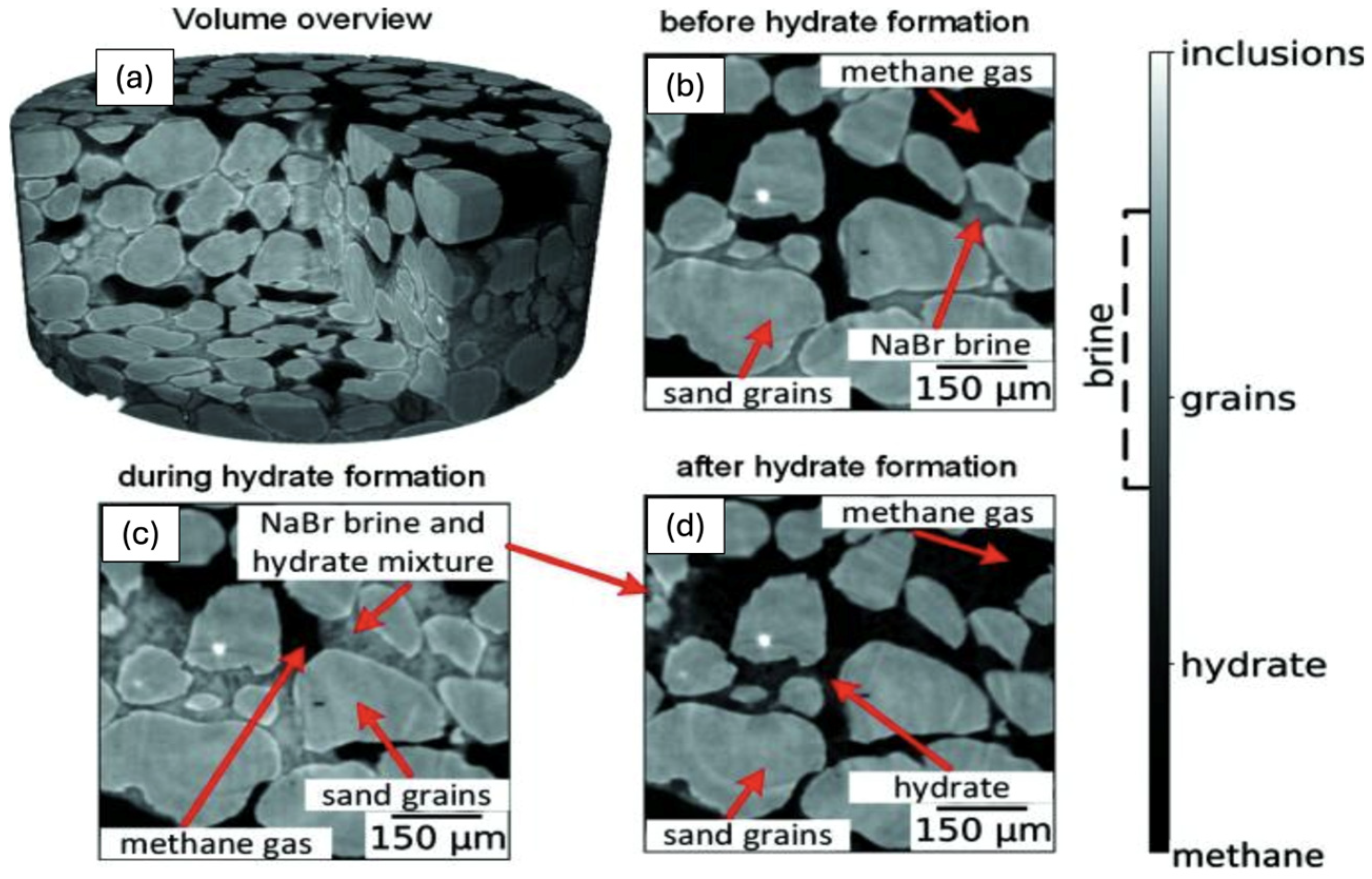 Laboratory Synthesis and Characterization of Natural Gas Hydrates for ...