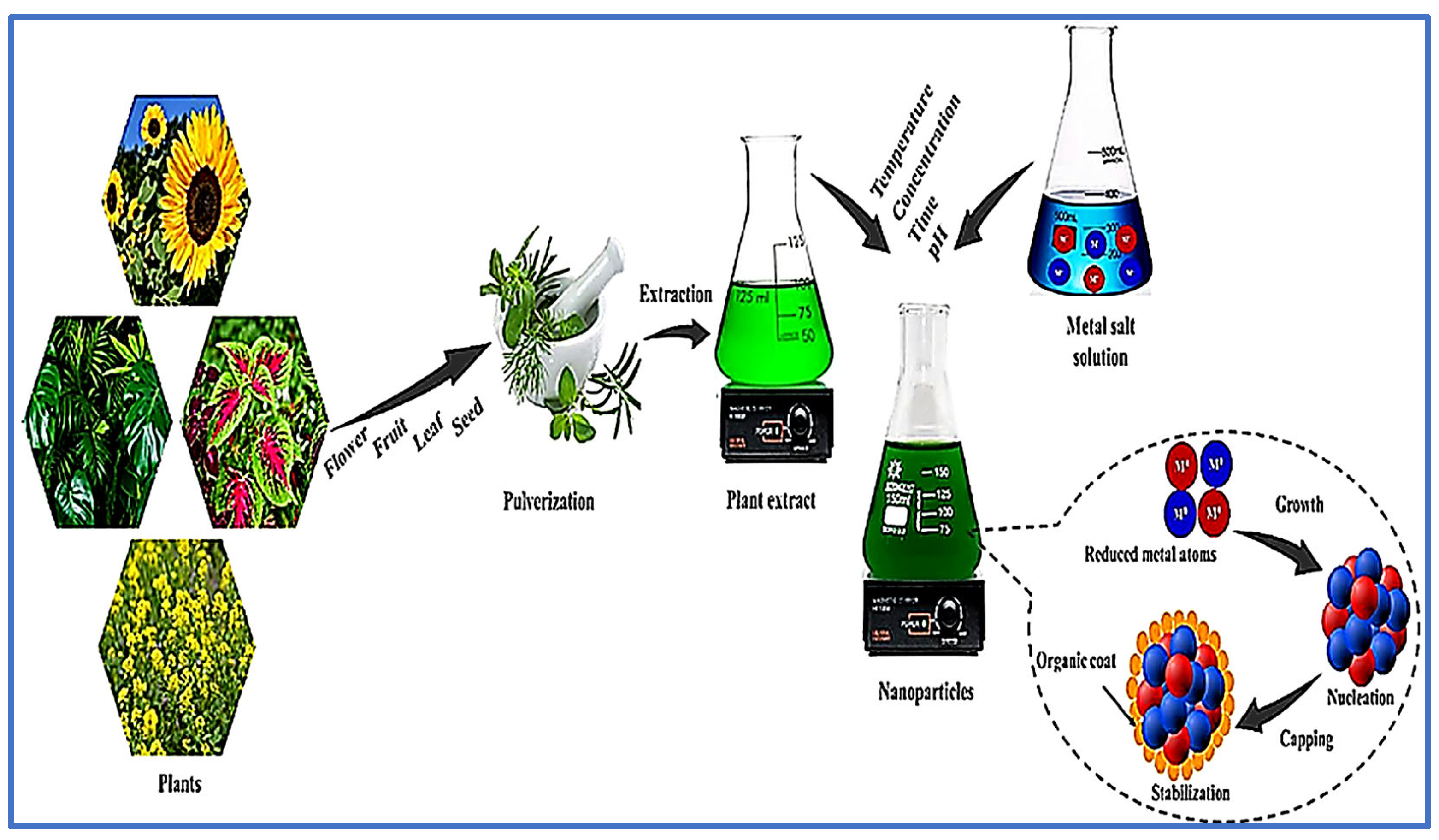 A Comprehensive Review on Green Synthesis and Characterization of Plant ...