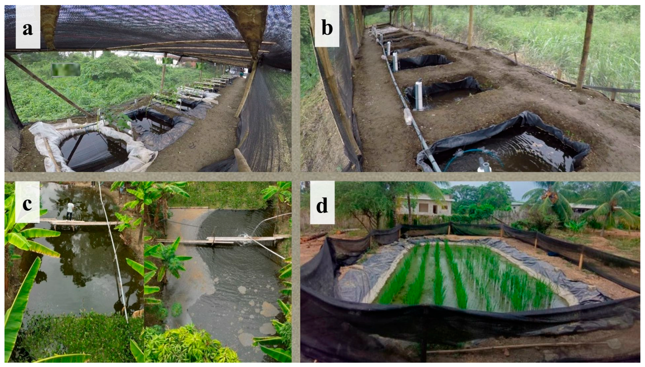 Multiple Ponds System Multivariate Water Quality Patterns as a Proxy for Environmental ...
