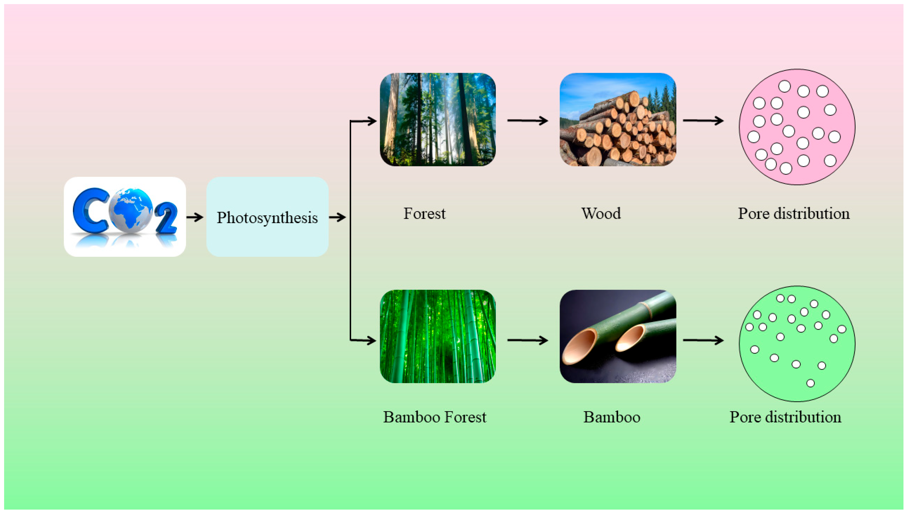 Bio Content Testing Comparative Study on the Carbon Footprint of Bio-Based Products ...