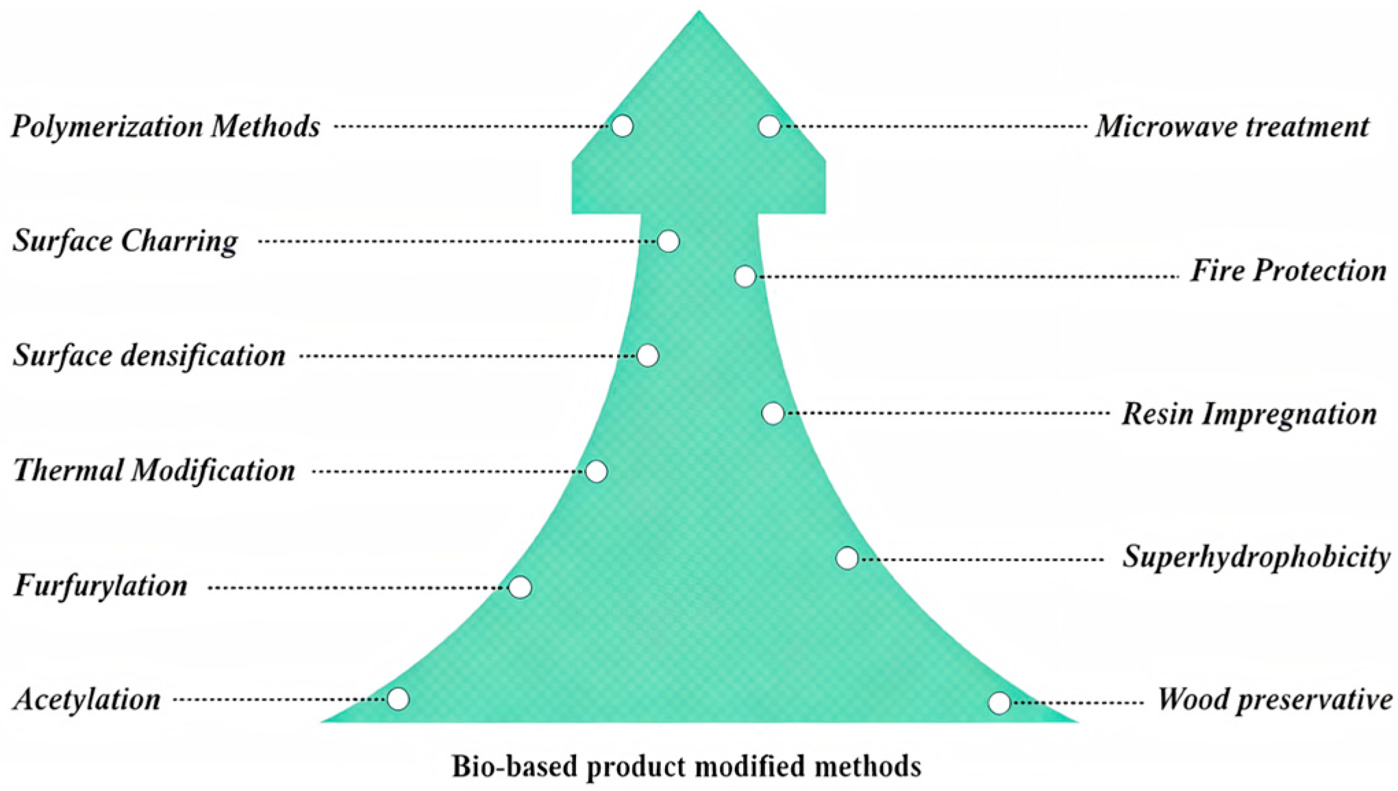 Bio Content Testing Comparative Study on the Carbon Footprint of Bio-Based Products ...