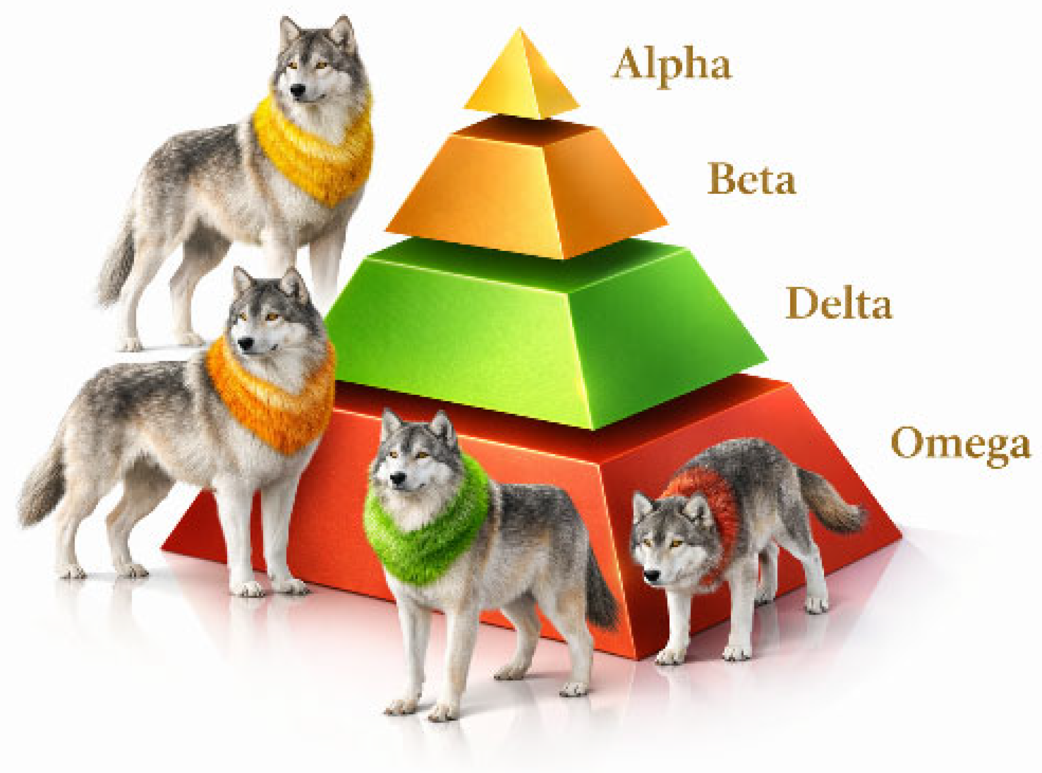 A Sustainable Multi-Objective Framework for Green Neural Architecture ...
