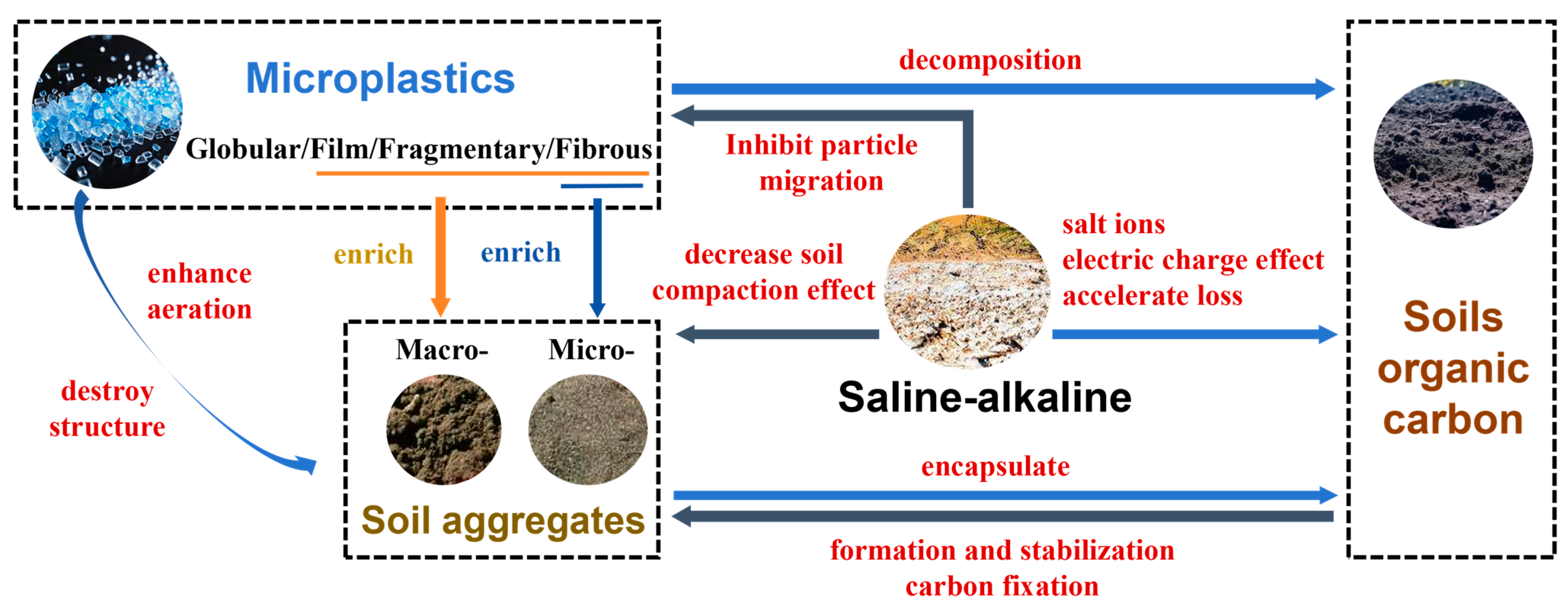 Effects of Microplastics on Organic Carbon in Saline–Alkaline Soils ...