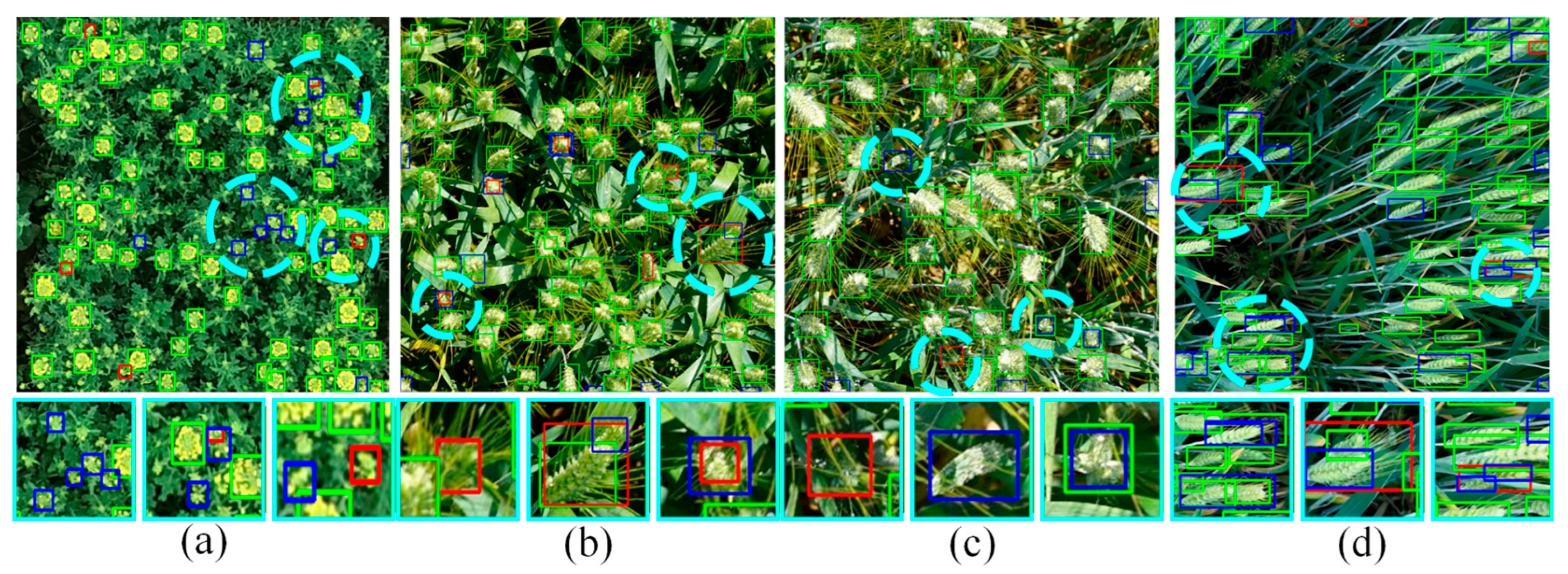 ACF-YOLO: Feature Enhancement and Multi-Scale Alignment for Sustainable ...