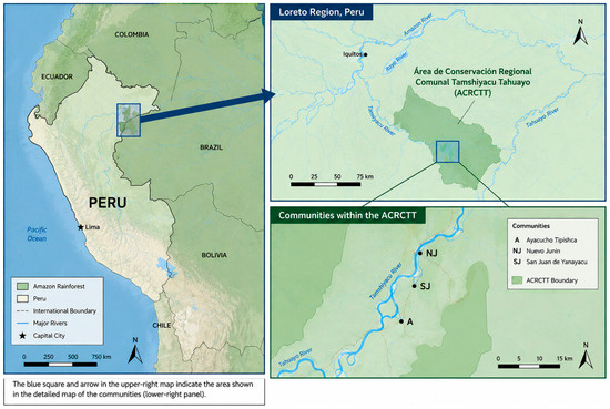 Ecotourism Participation and Environmental Stewardship in the Peruvian ...