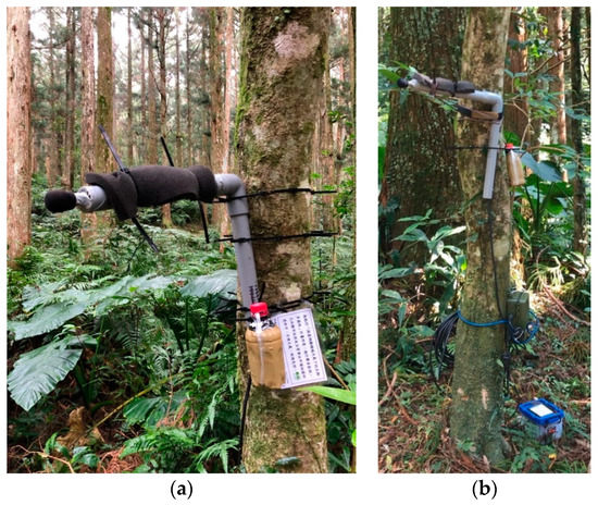 Implementation of Artificial Intelligence for Classification of Frogs ...