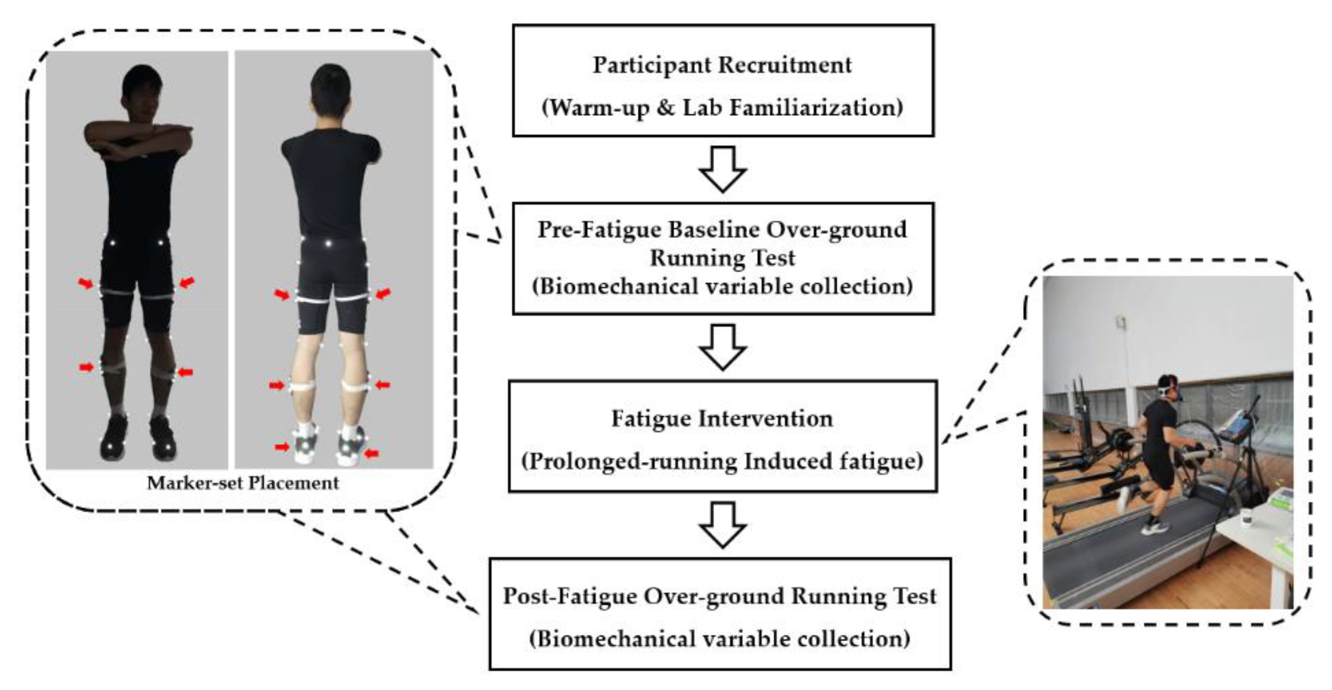 PDF) The Effect of Fatigue on Landing Biomechanics in Single-Leg