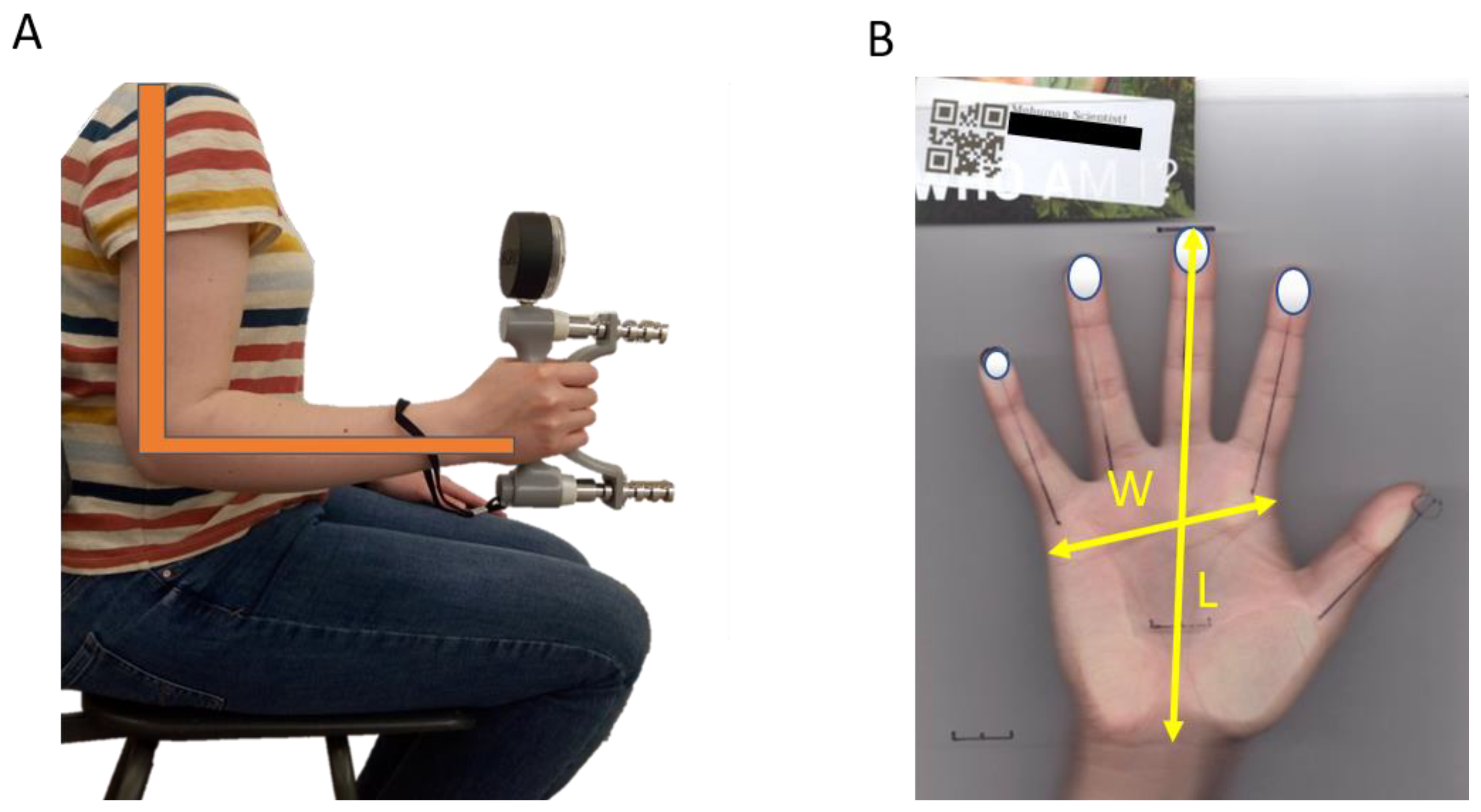 3306px x 1813px - Symmetry | Free Full-Text | Get a Grip: Variation in Human Hand Grip  Strength and Implications for Human Evolution