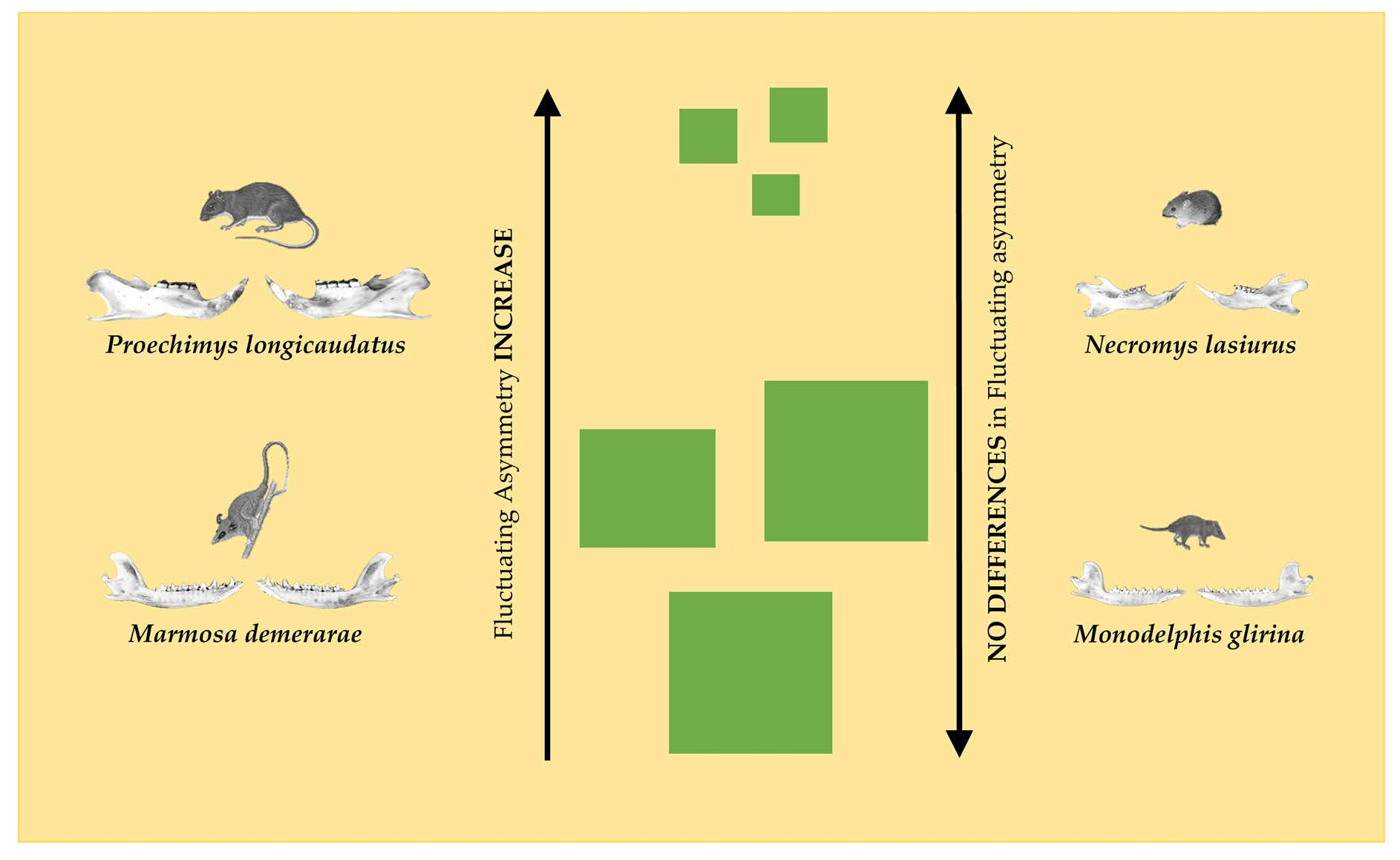 Dispersal limitation and weaker stabilizing mechanisms mediate loss of  diversity with edge effects in forest fragments - Krishnadas - 2021 -  Journal of Ecology - Wiley Online Library