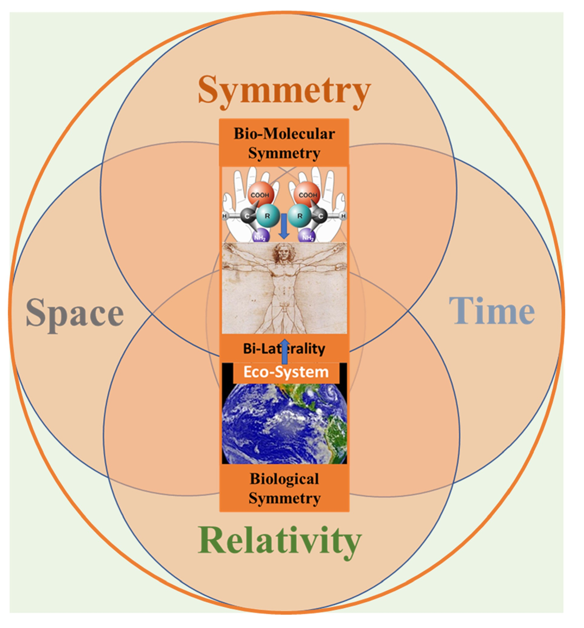 Why symmetry matters