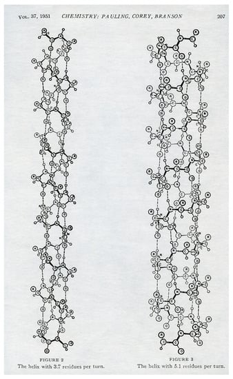 Homochirality Origin of Homochirality: The Formation and Stability of Homochiral ...