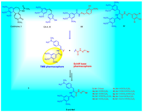 New Schiff Base Tmb Hybrids Design Synthesis And Antiproliferative